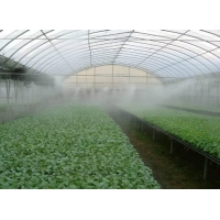 納米二氧化鈦在蔬菜種植上面消除農藥殘留的應用